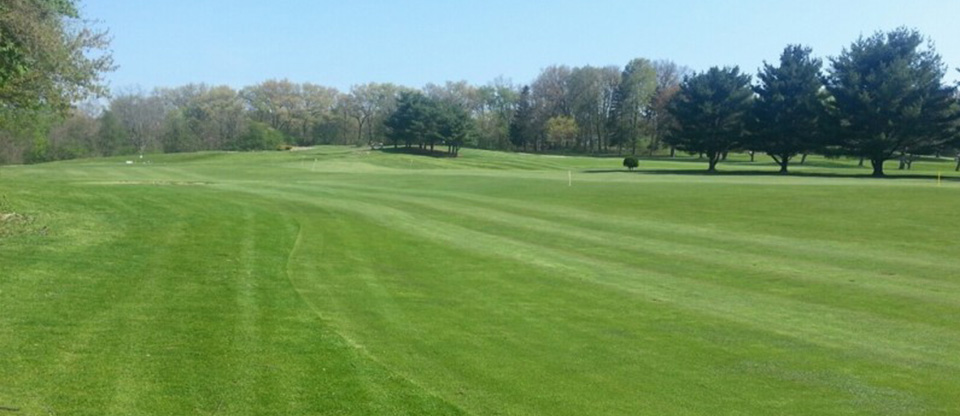 golf course green with trees